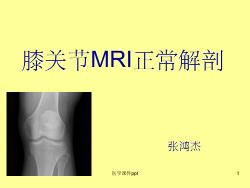 膝关节MRI正常解剖