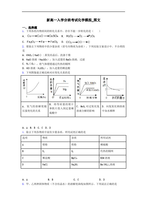 新高一入学分班考试化学模拟_图文