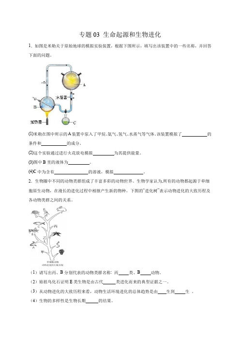 专题03生命起源和生物进化(综合题20道)(原卷版)