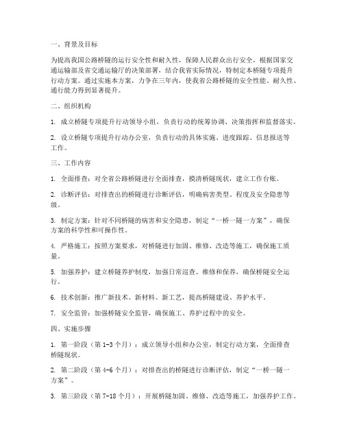 桥隧专项提升行动方案