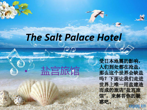 The Salt Palace Hotel