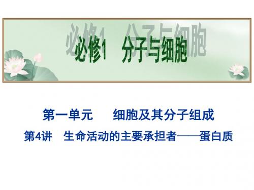 2019届高考生物大一轮专题复习精品课件：生命活动的主要承担者——-蛋白质 (共35张PPT)