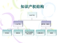 专利培训演示稿专利三性和专利权三性