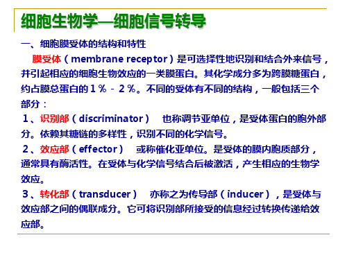 细胞生物学-7细胞信号转导