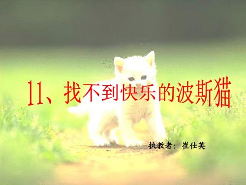 《找不到快乐的波斯猫》课件