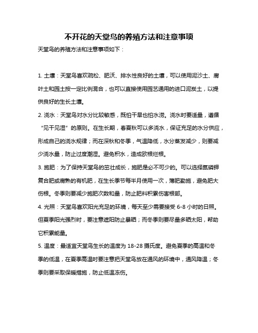 不开花的天堂鸟的养殖方法和注意事项