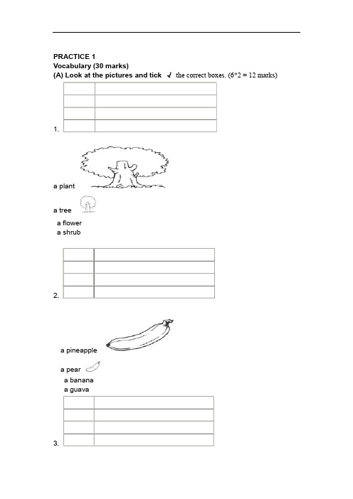 新加坡小学英语一年级试卷PRACTICE 1