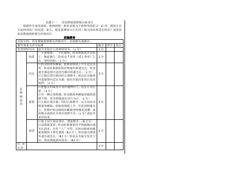 用显微镜观察根尖纵切片