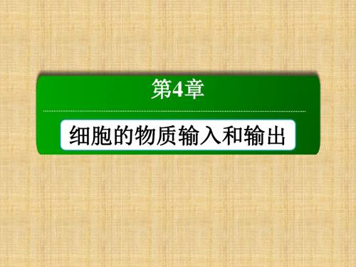 【红对勾】高中生物 4-1 物质跨膜运输的实例讲义手册名师优质课件 新人教版必修1