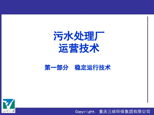 污水处理厂运营培训(PPT58页)