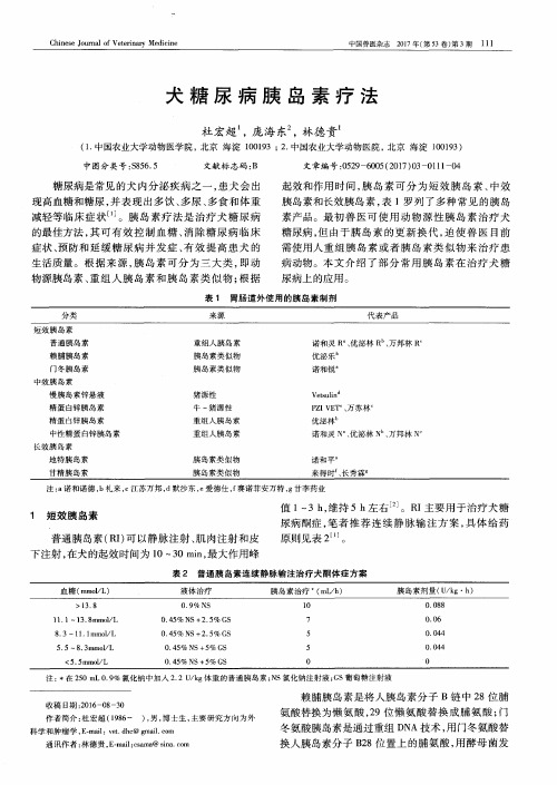 犬糖尿病胰岛素疗法