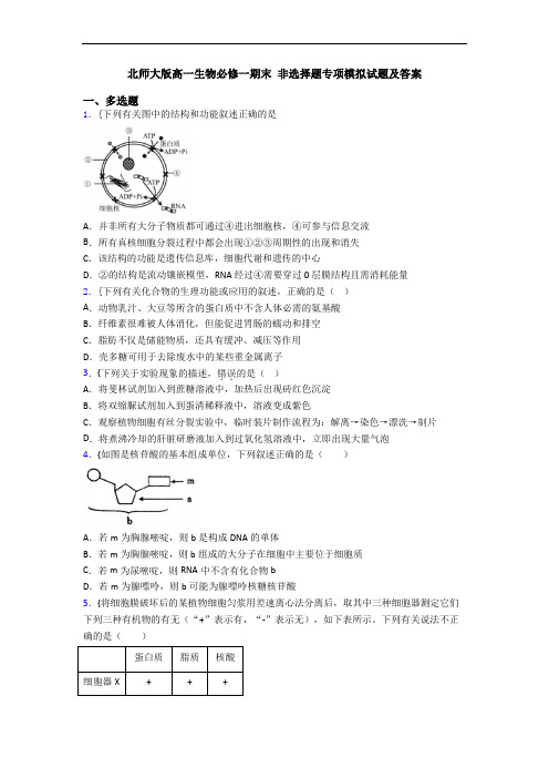 北师大版高一生物必修一期末 非选择题专项模拟试题及答案