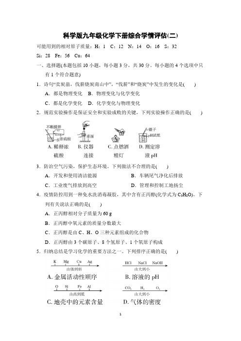 科学版九年级化学下册综合学情评估 附答案 (1)