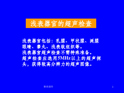 浅表器官的超声检查