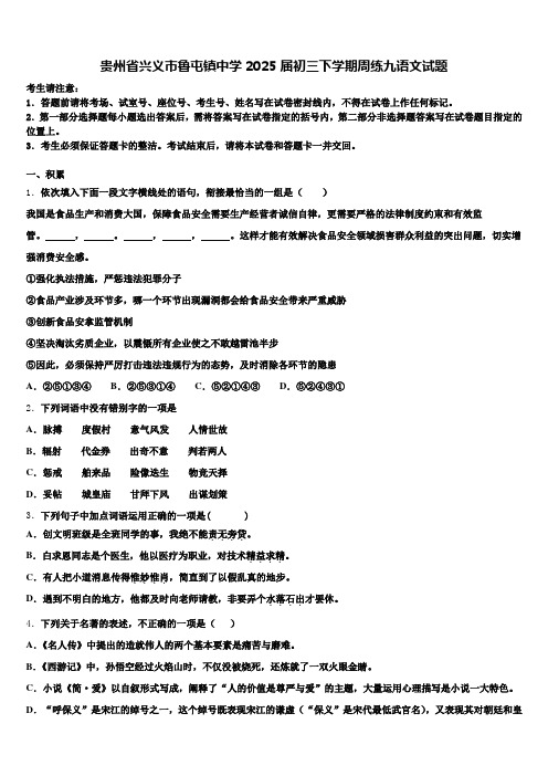 贵州省兴义市鲁屯镇中学2025届初三下学期周练九语文试题含解析