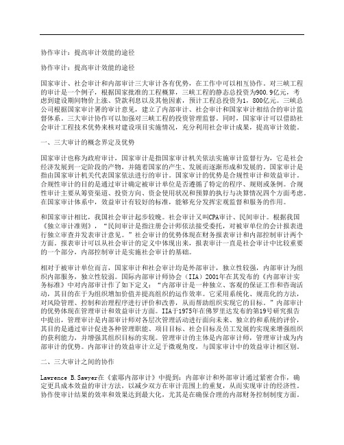 [协作,审计,提高,其他论文文档]协作审计：提高审计效能的途径