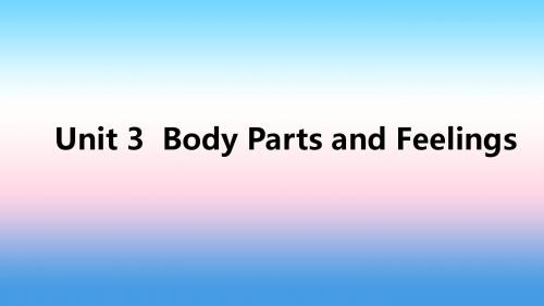 七年级英语上册 Unit 3 Body Parts and Feelings基础知识过关三讲义 冀教版.ppt