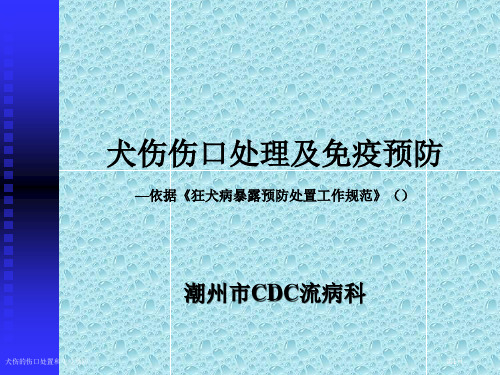 犬伤的伤口处置和免疫预防专家讲座