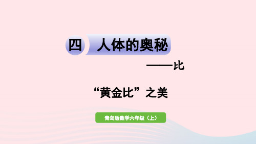 2023六年级数学上册四人体的奥秘__比黄金比之美课件青岛版六三制