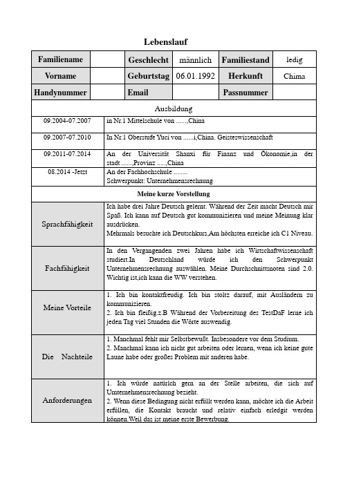 Lebenslauf 简历 德语