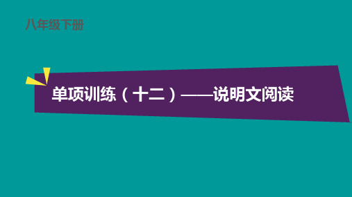 八年级下册语文单项训练(十二)(十三)