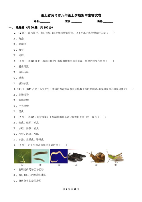 湖北省黄冈市八年级上学期期中生物试卷