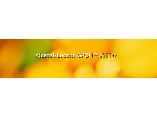 Alcatel-Lucent GPON介绍