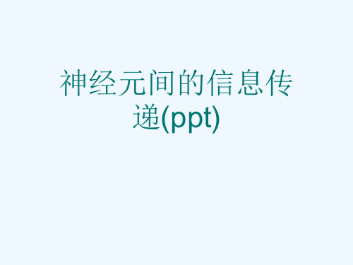 神经元间的信息传递(ppt)