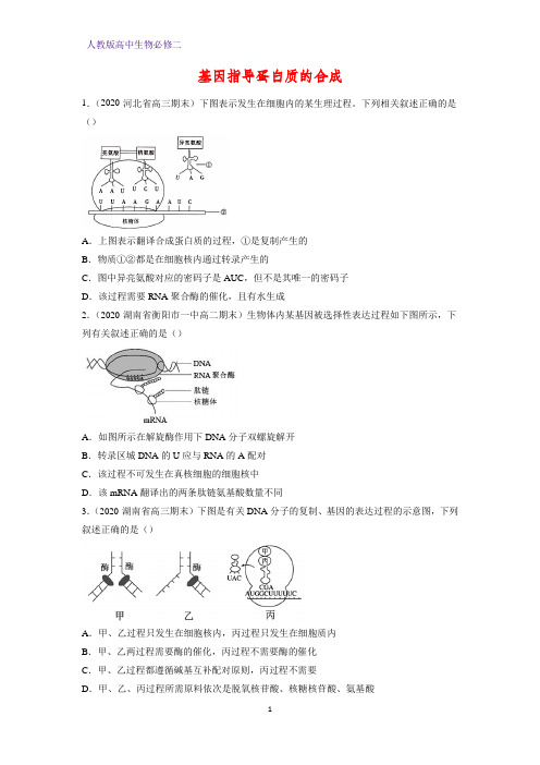 人教版(新教材)高中生物必修2练习30：4 1 基因指导蛋白质的合成课时作业