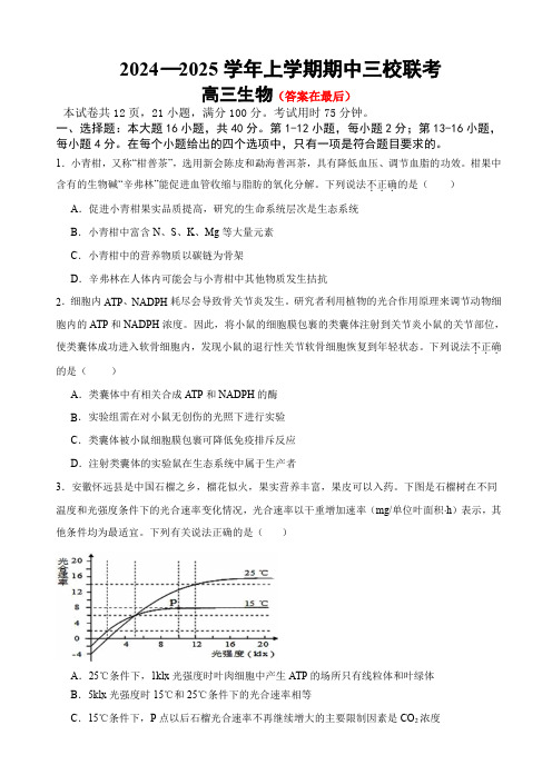 广东省广州2024-2025学年高三上学期期中联考试题 生物含答案