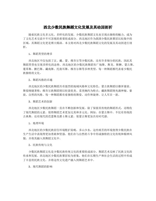 西北少数民族舞蹈文化发展及其动因剖析