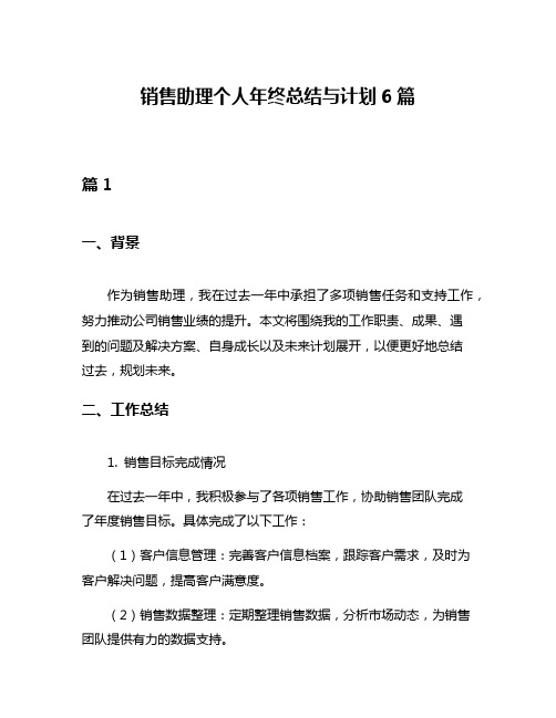 销售助理个人年终总结与计划6篇