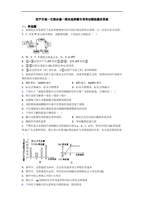 西宁市高一生物必修一期末选择题专项考试模拟题含答案