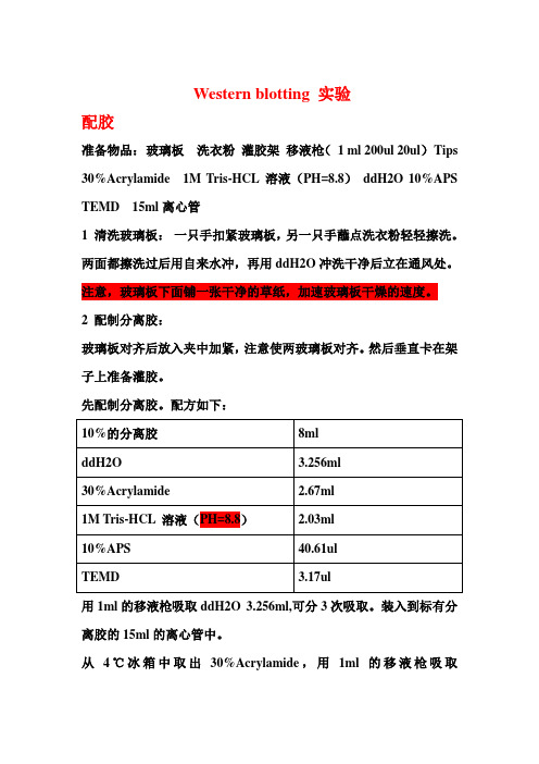 western blot实验详细过程