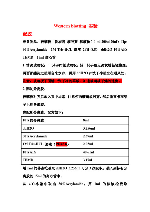 western blot实验详细过程