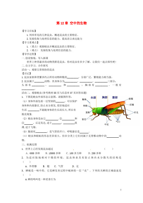 钟楼区某中学七年级生物下册第12章空中的生物学案2无答案新版苏科版