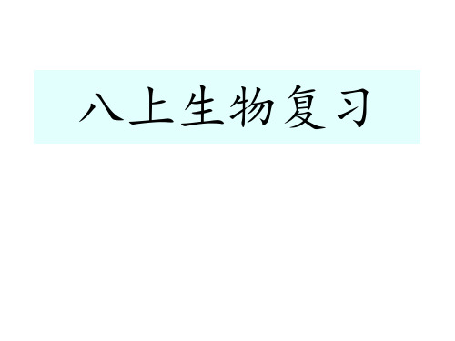 济南版初中生物八年级上册 第四单元(一、二章)复习课件