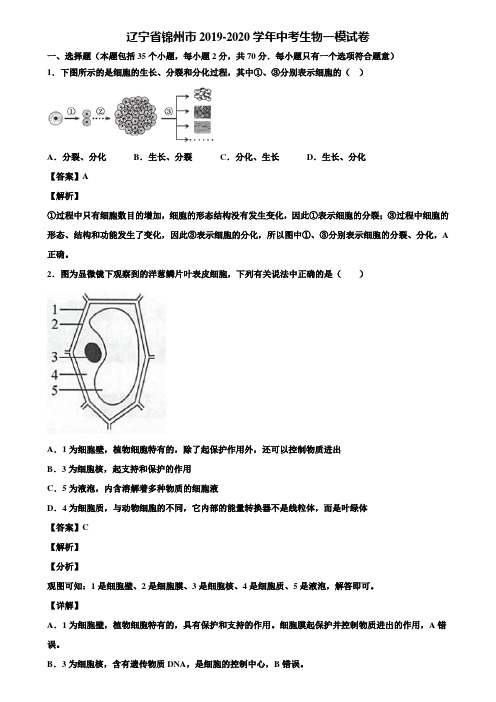 辽宁省锦州市2019-2020学年中考生物一模试卷含解析