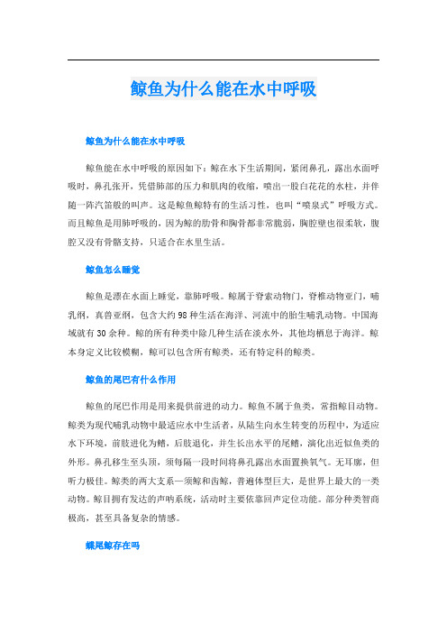 鲸鱼为什么能在水中呼吸
