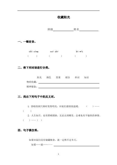 西师大版六年级上册《收藏阳光》同步训练