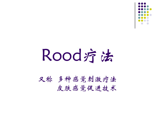 Rood技术课件