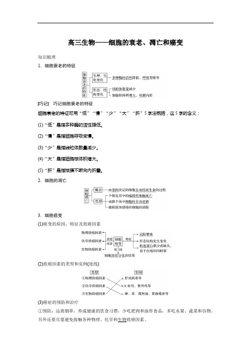 高三生物——细胞的衰老、凋亡和癌变