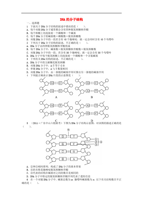 DNA的分子结构课后训练-中图版高中生物必修2