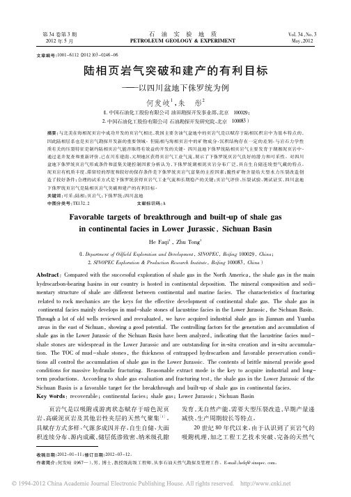 陆相页岩气突破和建产的有利目标_以四川盆地下侏罗统为例_何发岐