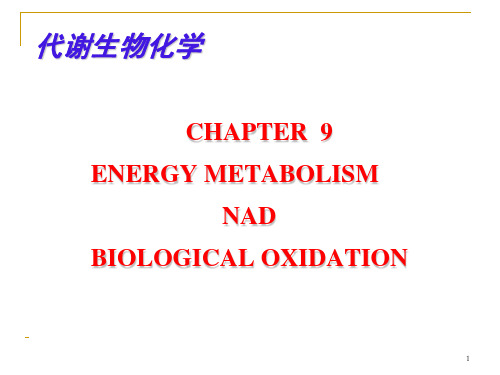 第六章电子传递链与氧化磷酸化