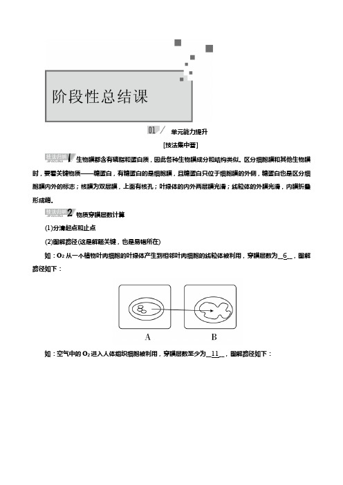 高考生物人教版一轮复习教案：第二单元 细胞的基本结构和物质运输功能 Word版含答案