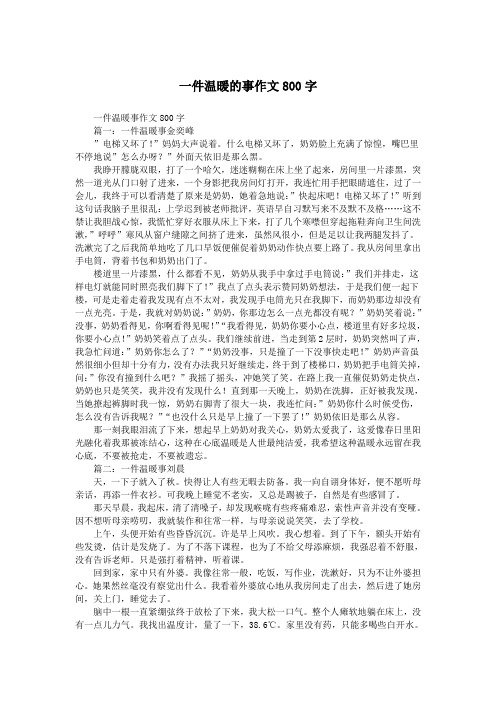 一件温暖的事作文800字.doc