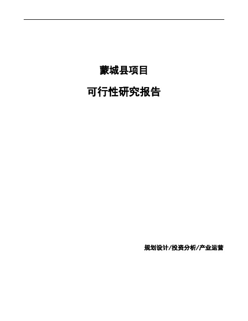 蒙城县编写生产项目可行性研究报告(范文)