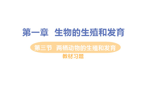 第三节 两栖动物的生殖和发育