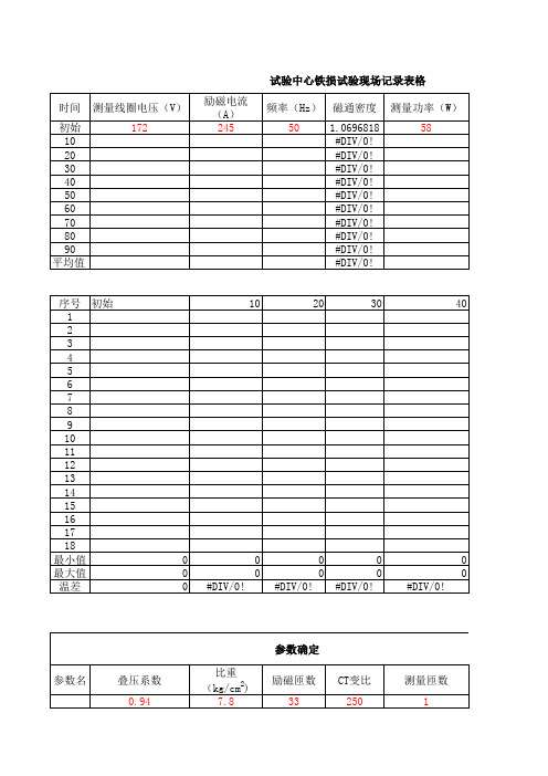 铁损试验最新计算表格